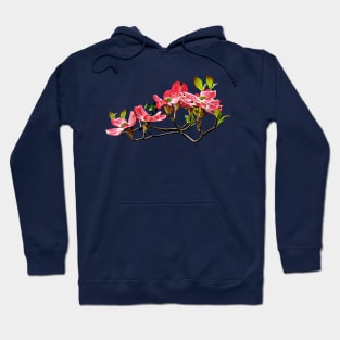 Dogwood - Pink Dogwood Hoodie